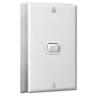 1 Despard Switch Low Voltage Surface Mount Cover Set – White