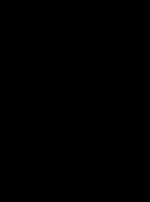 16-953116 SLEEVE