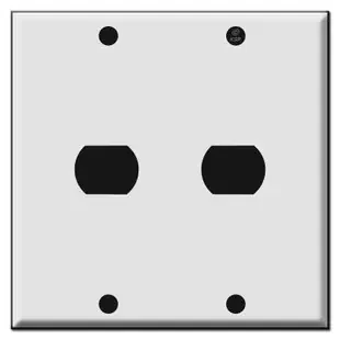 2-Gang One Hole Despard Switch Plate Covers
