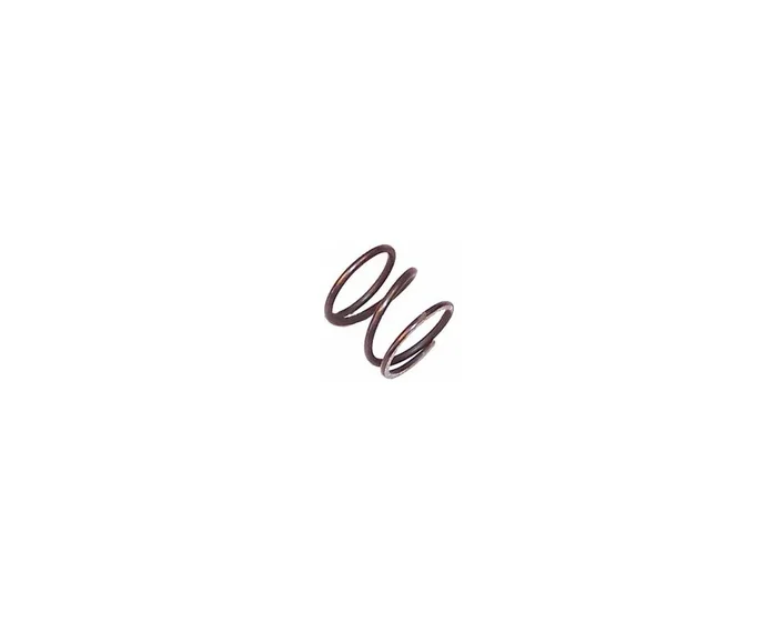 2604617003 Compression Spring – Bosch