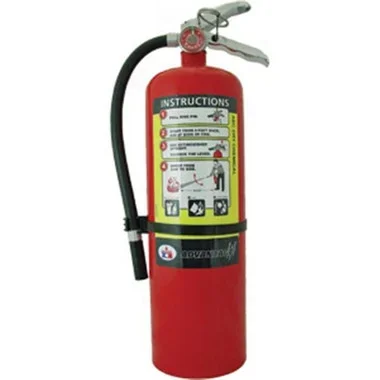 Badger Advantage 10 lb ABC Fire Extinguisher w/ Wall Hook – 21007867