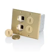Brass 2-Gang Duplex Floor Outlet 15A + Data Ports Leviton