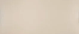 DISCONTINUED MSI Pebble Rock Countertop Slab, 2cm Thickness