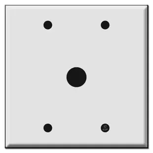 Double Wide .625‘‘ Center Phone Cable Cover Plate