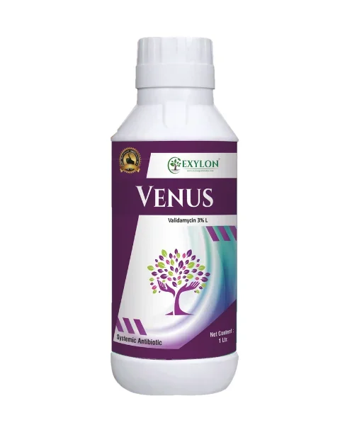 Exylon Venus (Validamycin 3% L) – Fungicide for Paddy, Wheat, Vegetables