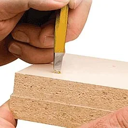 FastCap Staple Setter