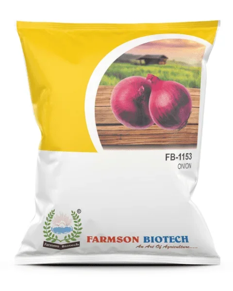 FB 1153 Onion Seeds: High Yield, Uniform Bulbs, Excellent Flavor