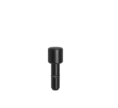 Fixing Bolt Ø 15,5 – Burnished