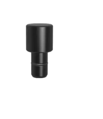 Fixing Bolt Ø 29,8 for bore 16.1 – Burnished