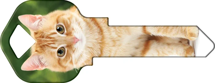 Happy Keys Orange Tabby – Colored Key Blank by Howard Keys