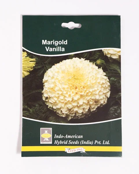 IAHS MARIGOLD VANILLA