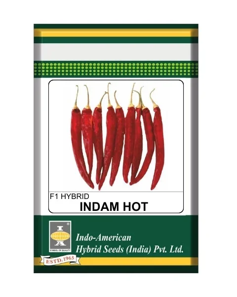 Indam Hot Star Chilli Seeds – Dark Green Fruits, Early Maturity & Heavy Yields