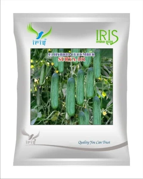 Iris Hybrid F1 CUCUMBER SURYA-101