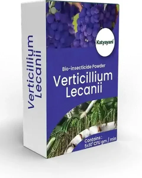 KATYAYANI VERTICILLIUM LECANII BIO INSECTICIDE POWDER