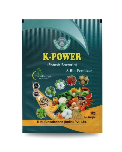 KN Biosciences K Power Powder Bio Fertilizer