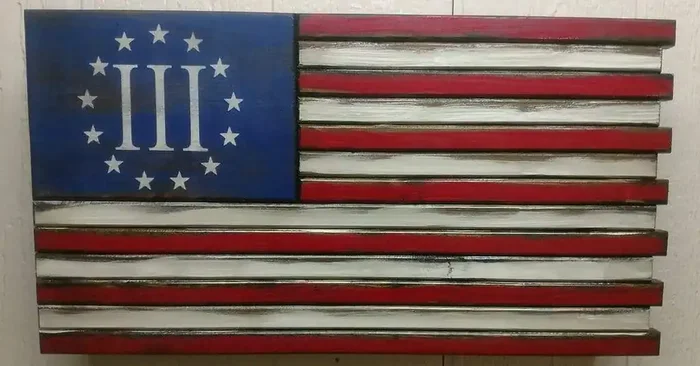 Liberty Home Mini American Flag Gun Concealment Case