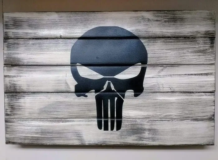 Liberty Home Punisher Skull Hidden Gun Storage Sign