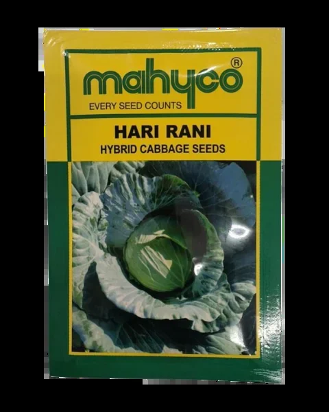 MAHYCO HARI RANI CABBAGE SEEDS