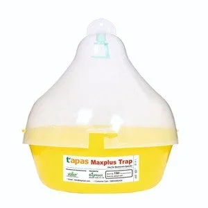 Maxplus Tapas Fruit Fly Trap – Long-Lasting, Multi-Crop Protection Against Fruit Flies