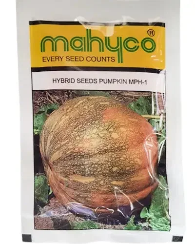MPH-1 Pumpkin Seeds