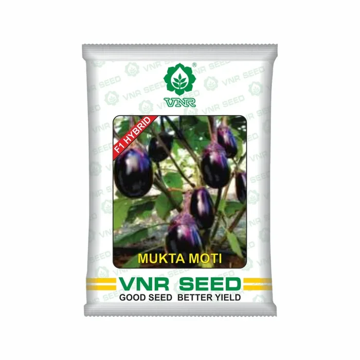 MuktaMoti F1 Hybrid Brinjal Seeds