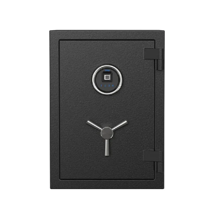 RPNB Biometric RPFS50 Fireproof Safe