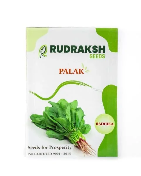 RUDRAKSH SPINACH-RADHIKA(ALL GREEN) – Spinach