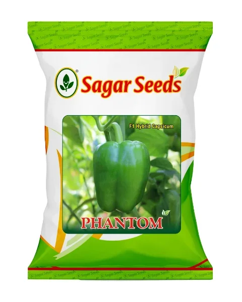 Sagar Phantom F1 Capsicum Seeds – Dark Green, Thick-Skinned & High Yield Variety