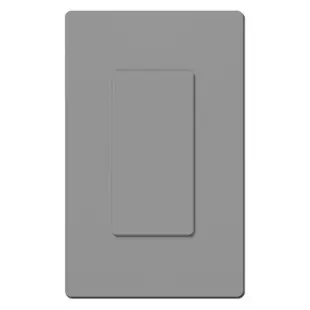 Single Blank Screwless Wall Plate Set Lutron – Gray Plastic