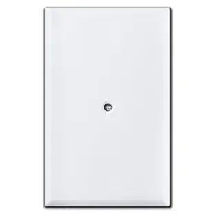 Special Oversized Blank Cover Center Screw – White