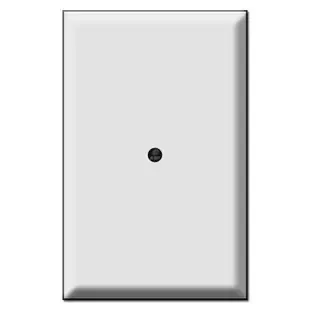 Special Use Oversized 1 Blank Switch Plate Cover – Middle Screw