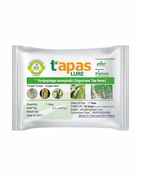 Tapas Sugarcane Top Borer Lure (Scirpophaga excerptalis) – Eco-Friendly Pest Control