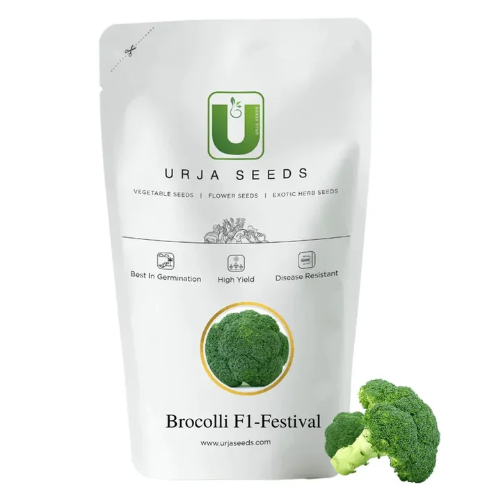 URJA F1 Festival Broccoli Seeds – High-Yield & Quick-Maturing
